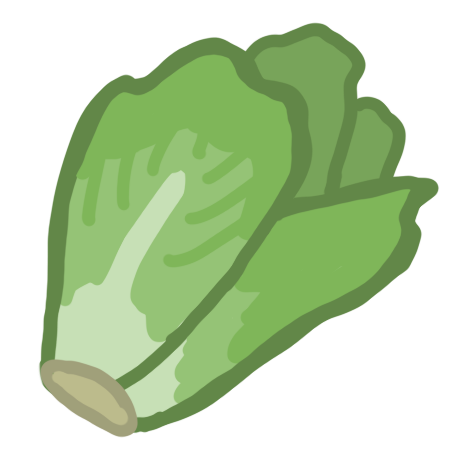 lettuce